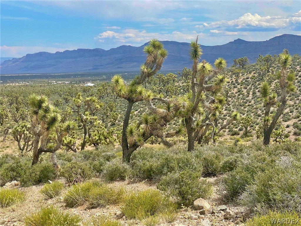 336-05-033 240 Acres