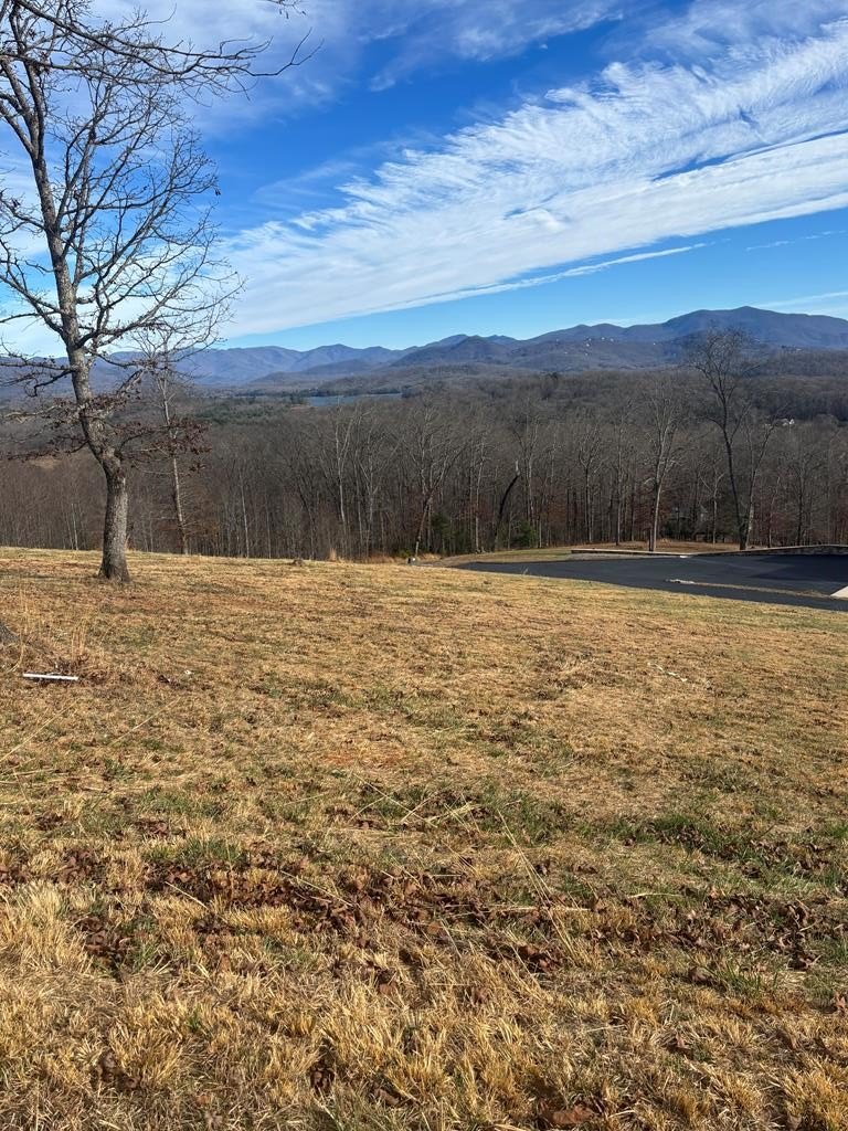 Other - Lot 24 Jack Groves, HAYESVILLE, NC