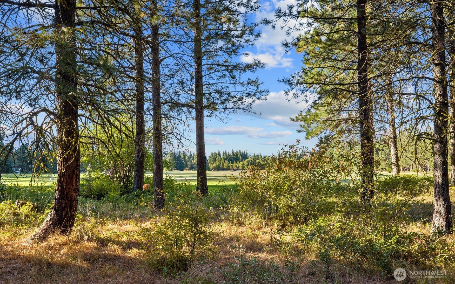 Other - 2040 Ruby King Loop, Cle Elum, WA