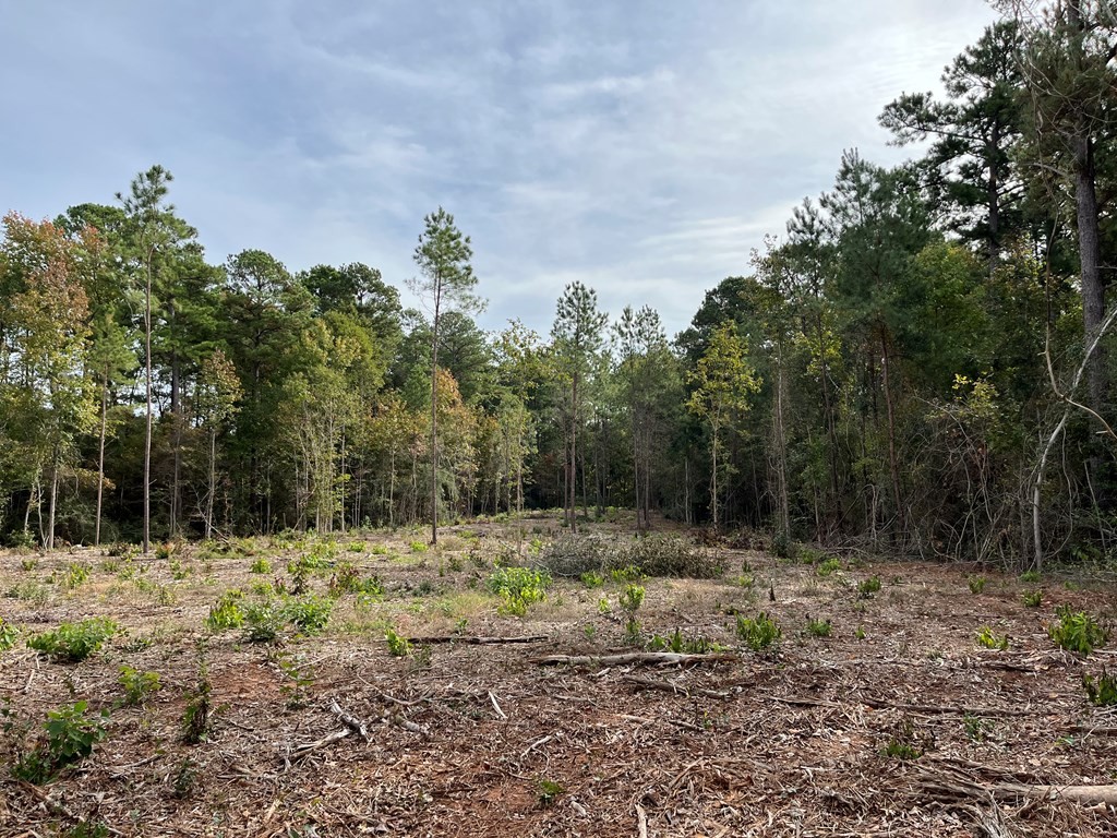 8 03 ac CR 833 (Tract Three)  