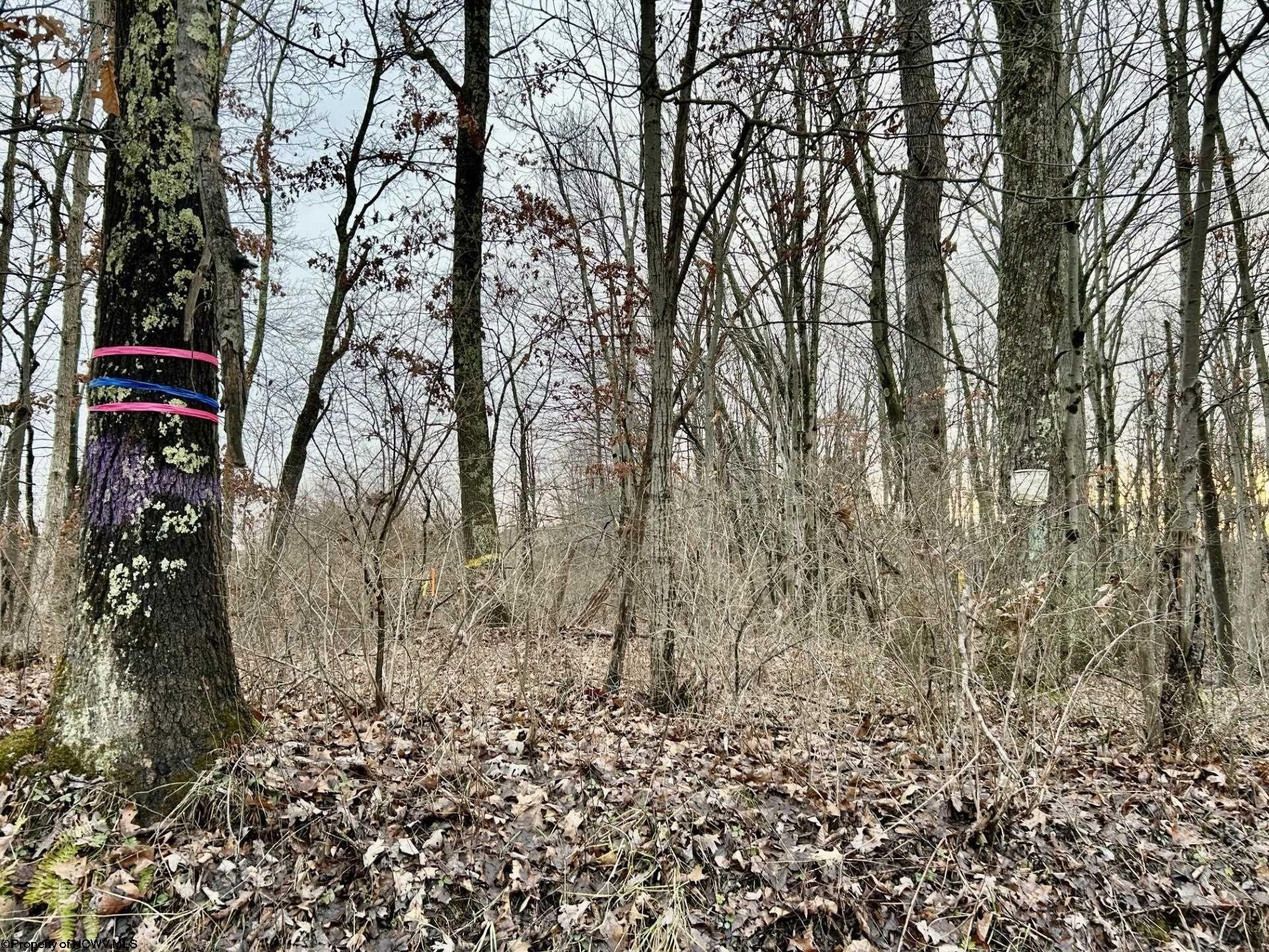 Other - 1201 Moyers Road, Bruceton Mills, WV