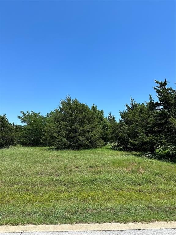 Plots and Land - Tbd La Paloma, Gordonville, TX