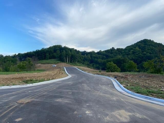 Lot 45 Madison Hts Dr  