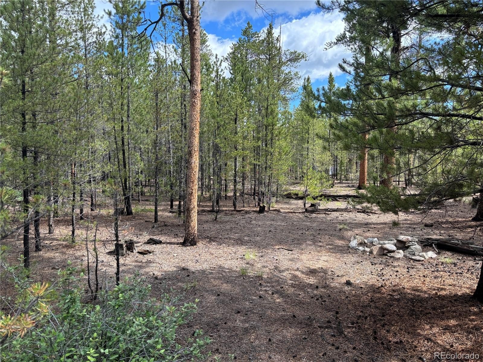 Plots and Land - 399 Fir Drive, Twin Lakes, CO