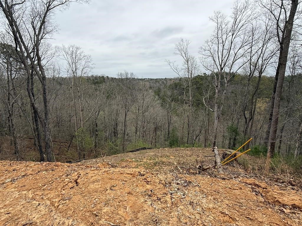 Other - 135 Flat Ridge Road, Ellijay, GA