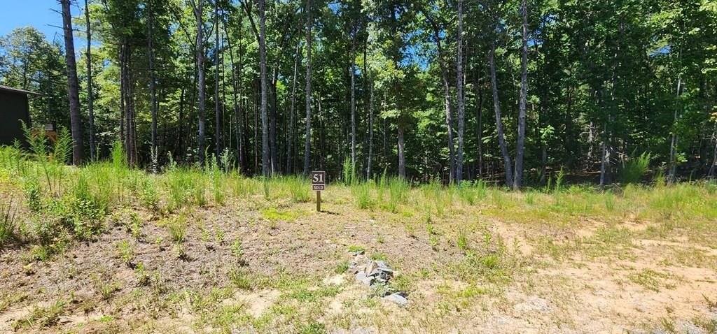 Other - Lot 51 Ridge Drive, Morganton, GA