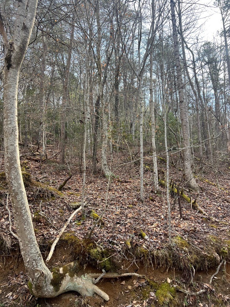 Other - Robinson Gap Road, Bryson City, NC