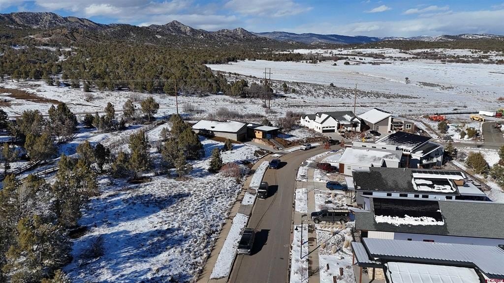 Single Family - 63 Salt Brush Street, Durango, CO