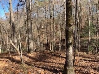 Other - Lot 260 Catawba Circle, Ellijay, GA
