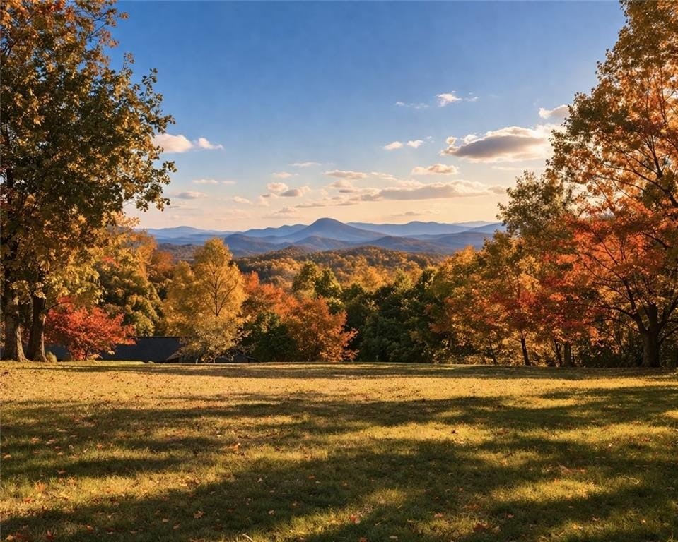 Other 4BR 4BA - 664 Chenocetah Drive, Cornelia, GA