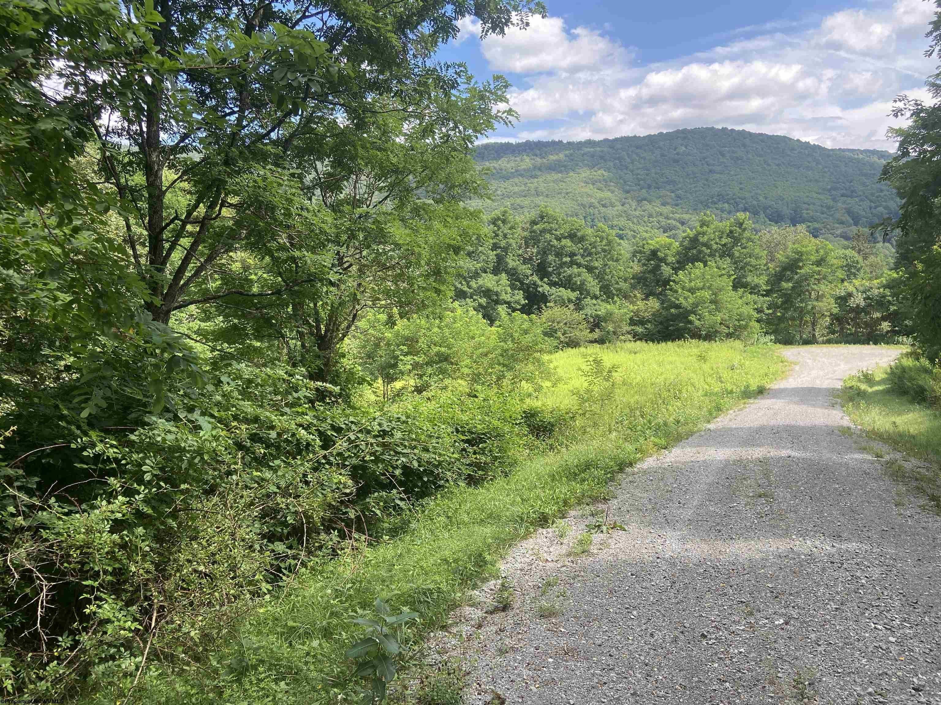 Other - Lot 132 Sunset Mountain Village Drive, Slaty Fork, WV