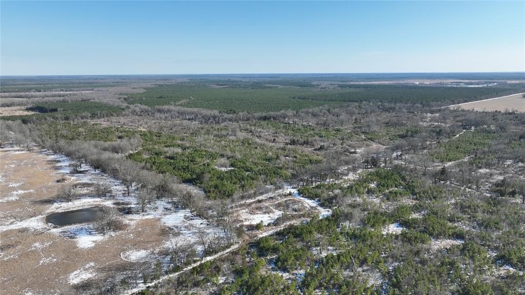 Plots and Land - Tbd County Rd 2242 S., Bagwell, TX