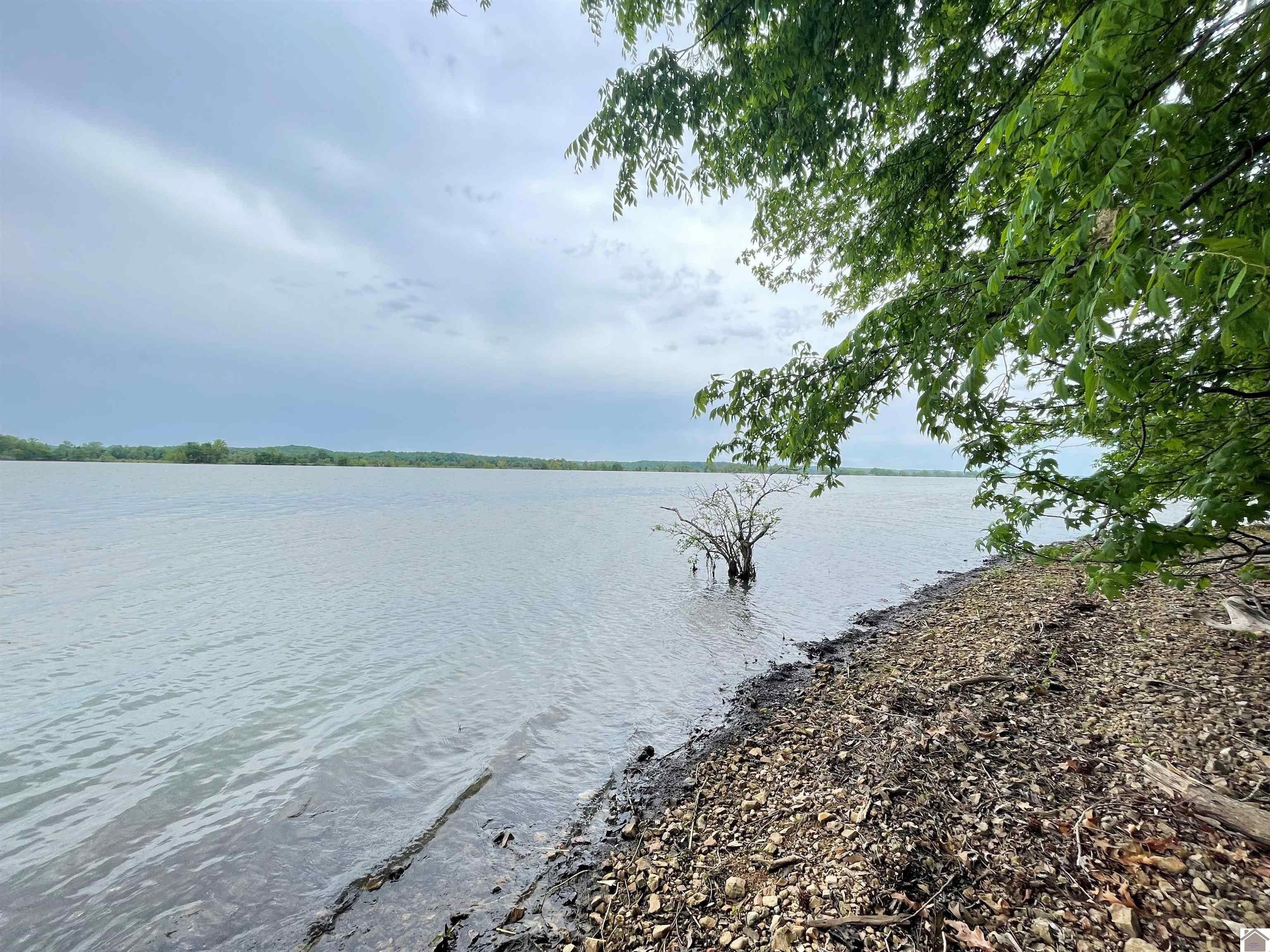Other - Mallard Shores lot: 6, Cadiz, KY