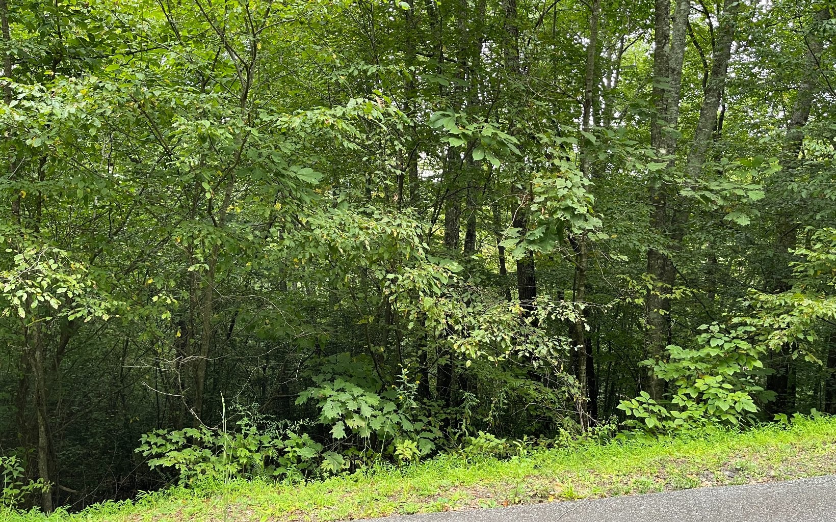 Other - Lot 7 Bear Trail, HIAWASSEE, GA