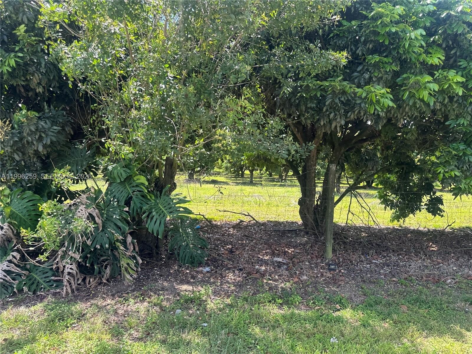 Other - 206xx SW 344 ST, Homestead, FL