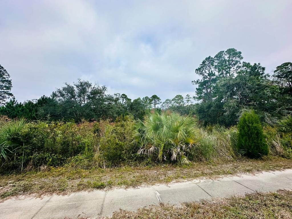 Other - 711 Ryan Dr, Carrabelle, FL