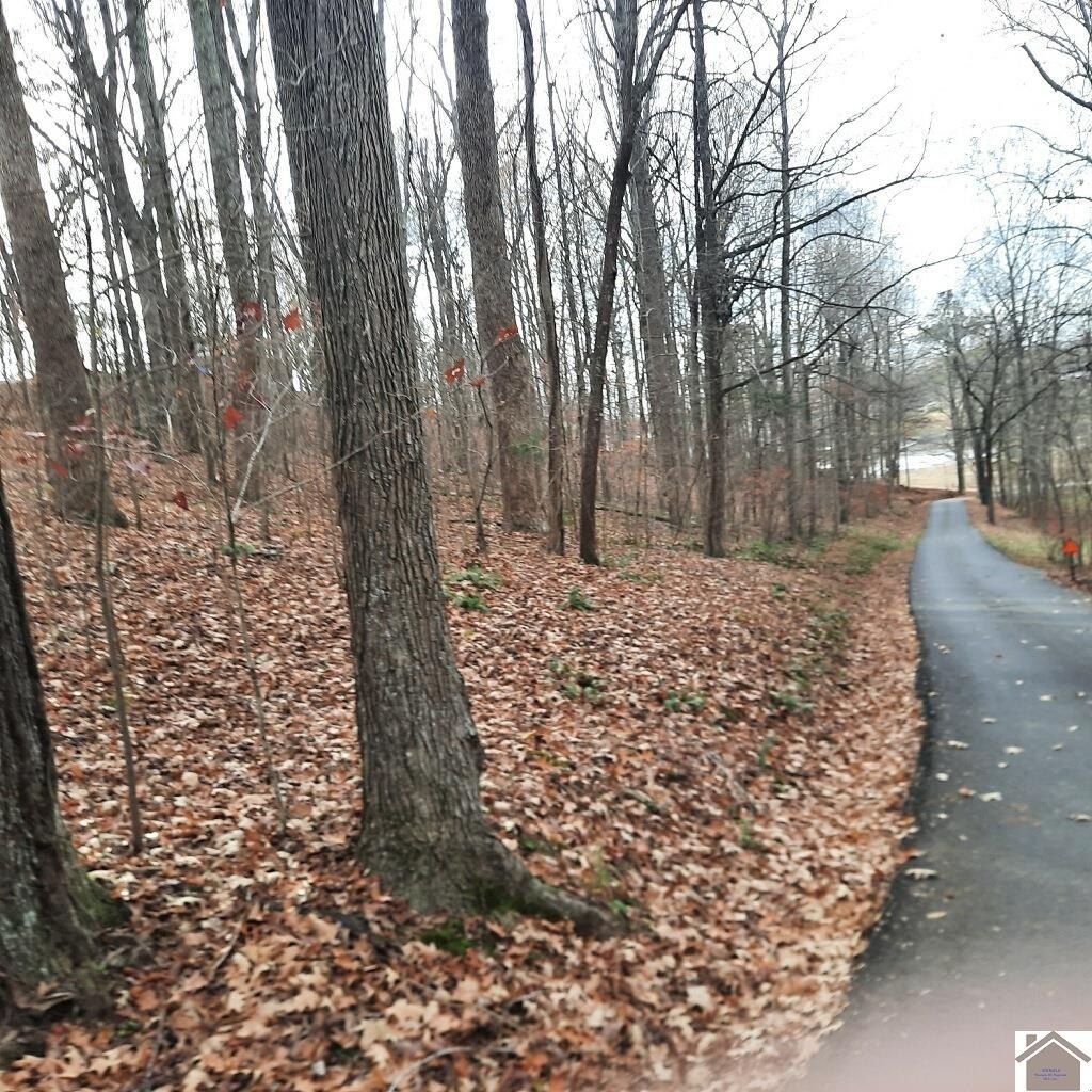 Other - Lot #8 Harbor Drive, Eddyville, KY