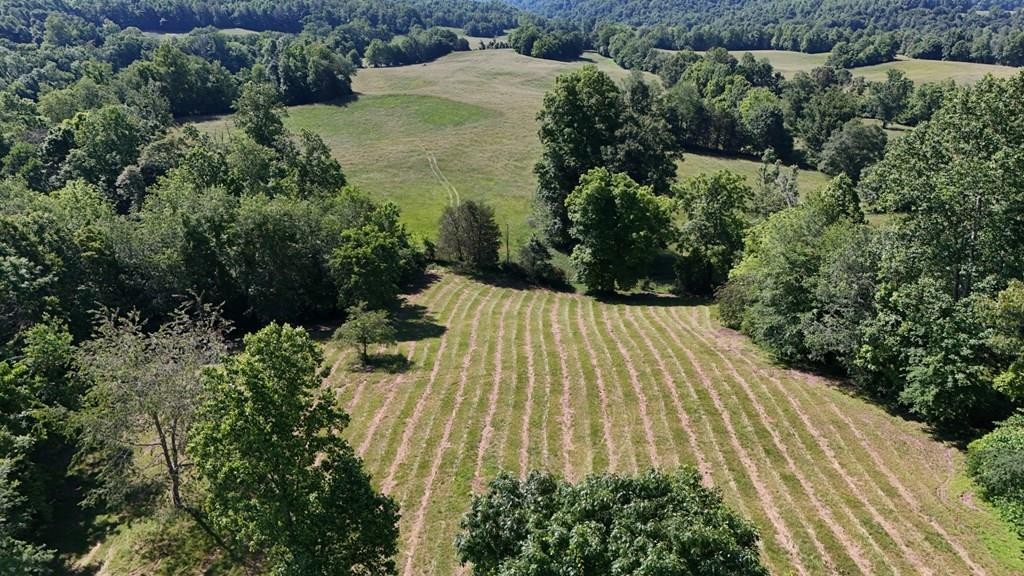 Other - Tract#17 Legacy Trace, BURKESVILLE, KY