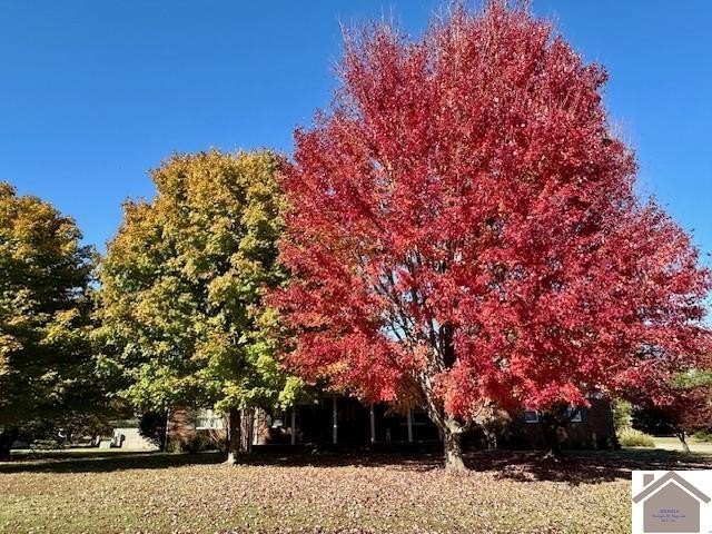 Other 3BR 3BA - 2200 Creekwood Drive, Murray, KY