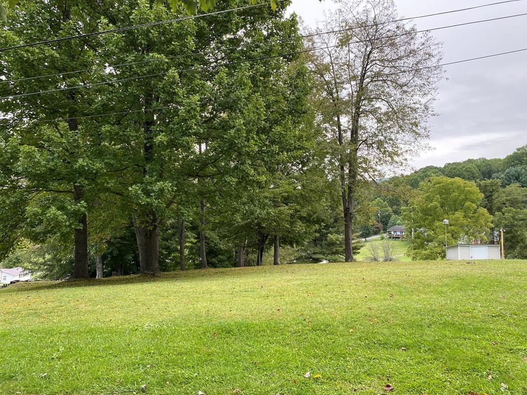 Other - Summitt Dr. lot: 52,54, Cedar Bluff, VA