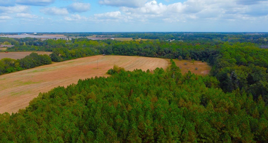 Single Family - 0 County Road 33, Headland, AL