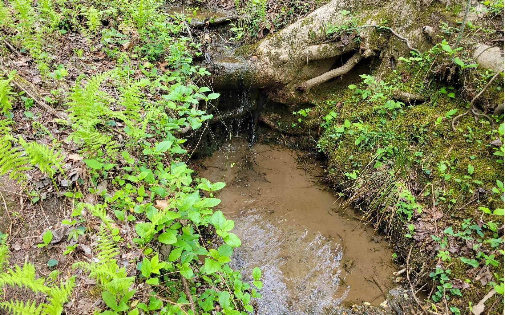 Other - Lot27 Oak Ridge Way, Ellijay, GA