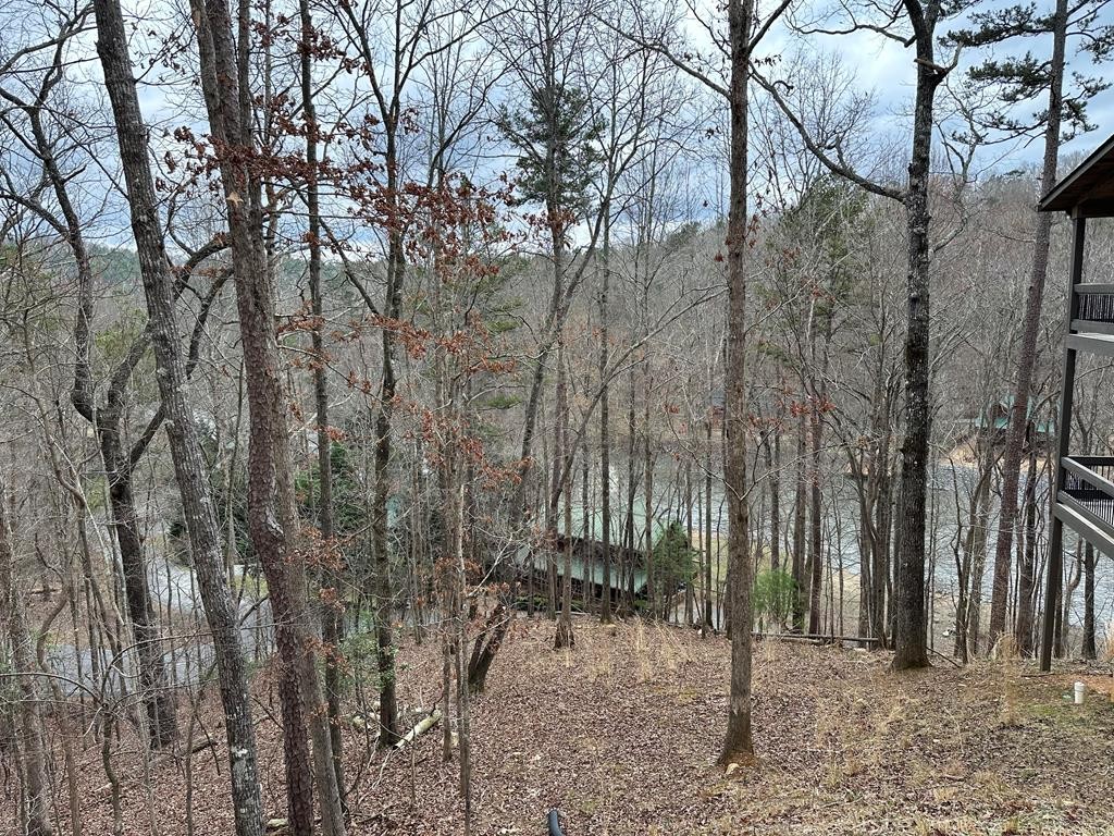 Other - Dawn Court, Ellijay, GA