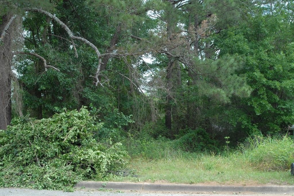 Single Family - 904 Lennox Ave, Dothan, AL