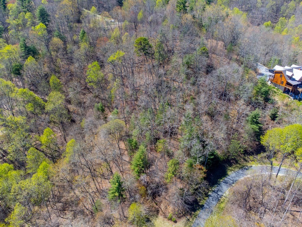 Other - Fontana Trace lot: 32, Almond, NC