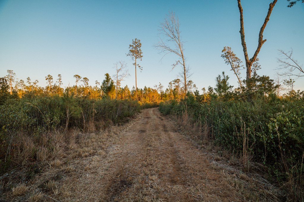 0 Chesapeake Rd (Lot 2)  