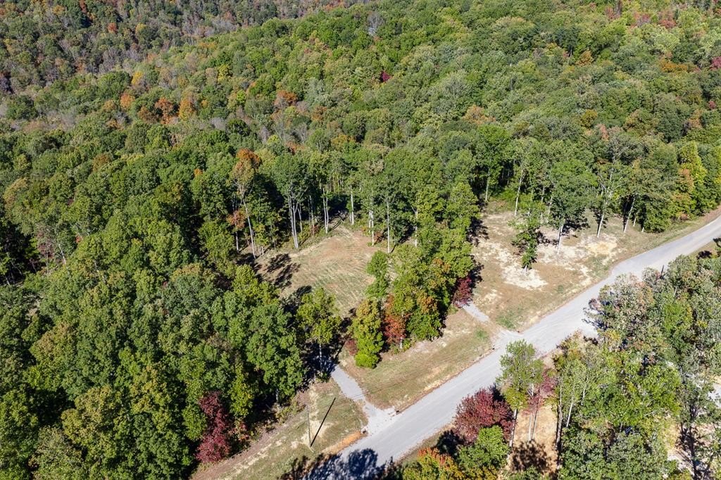 Other - 628 Cumberland Cove Road, Monterey, TN