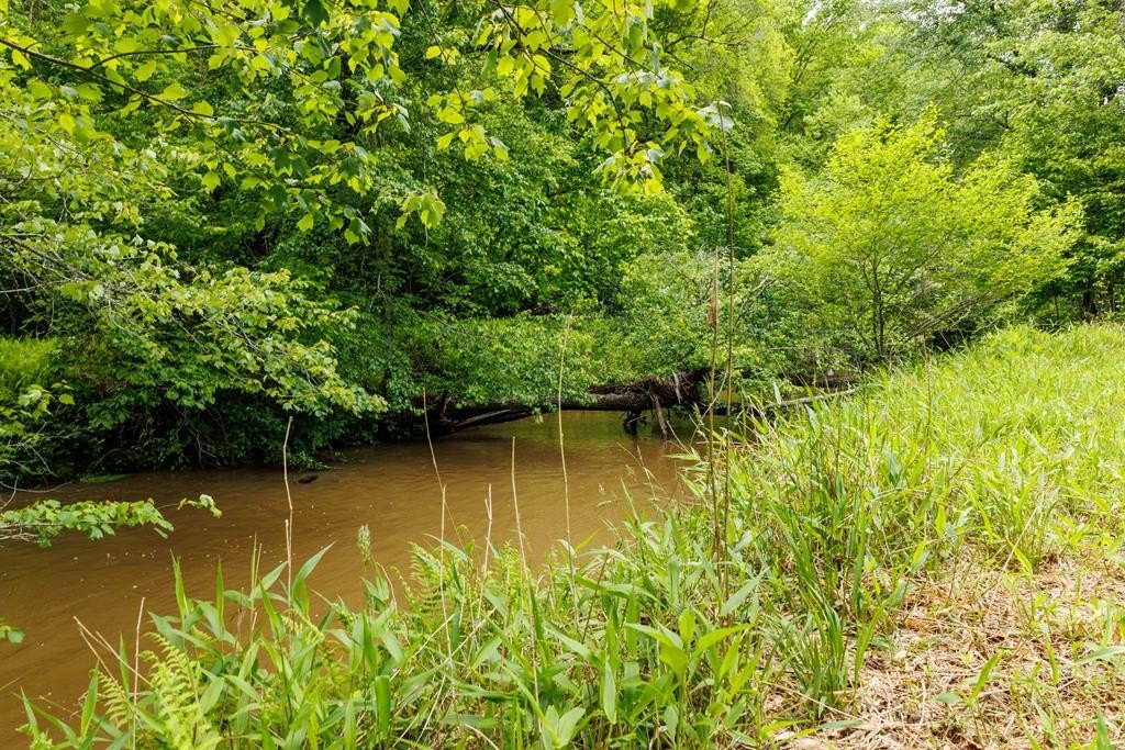 Other - Galloway Road, Blue Ridge, GA
