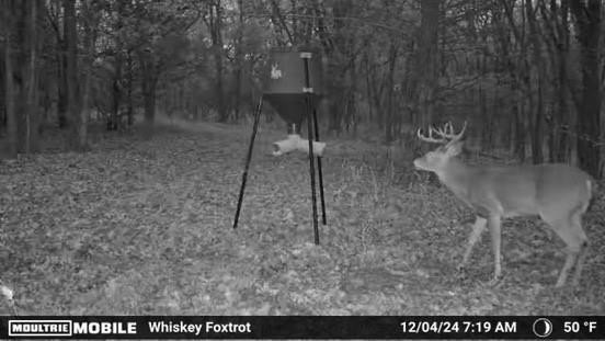 Plots and Land - 000 Fm-2383, Whitesboro, TX