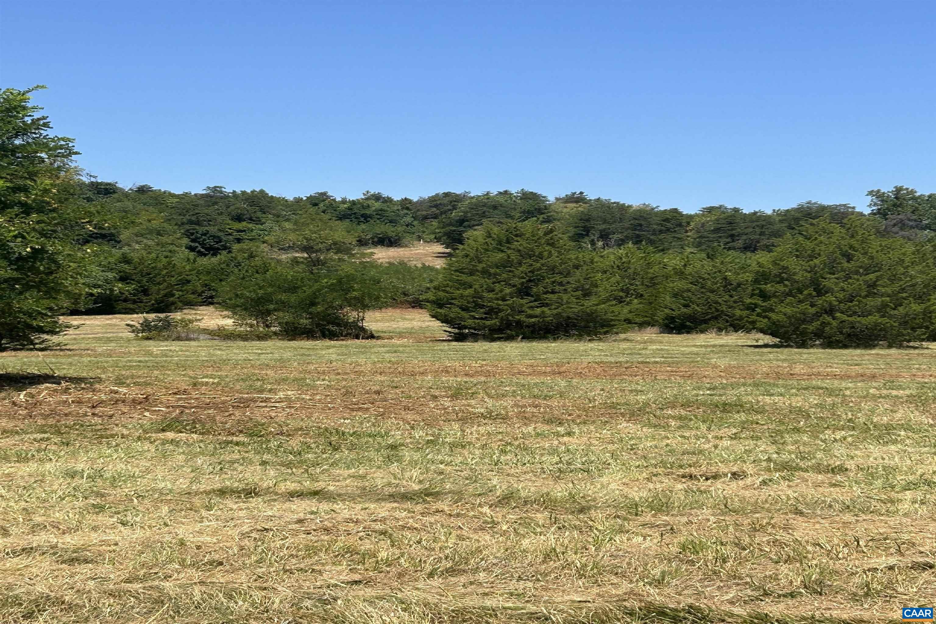 Single Family - TBD STONE BROOK DR, STANARDSVILLE, VA