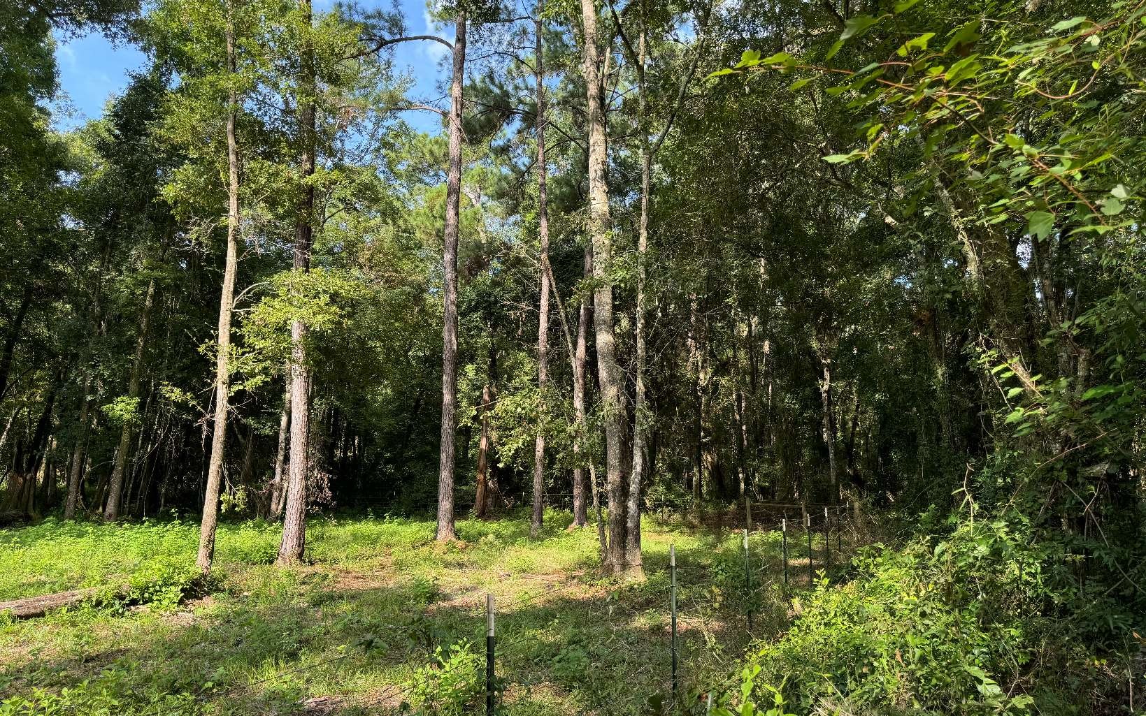 Plots and Land - 818 SW CHURCHILL WAY, Lake City, FL