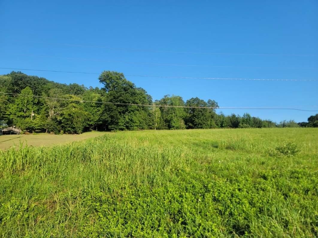 Single Family - Hinch Street lot: 33, Spring City, TN