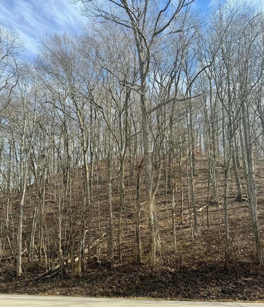 Other - Kentucky Trail Haines Rd, Minford, OH