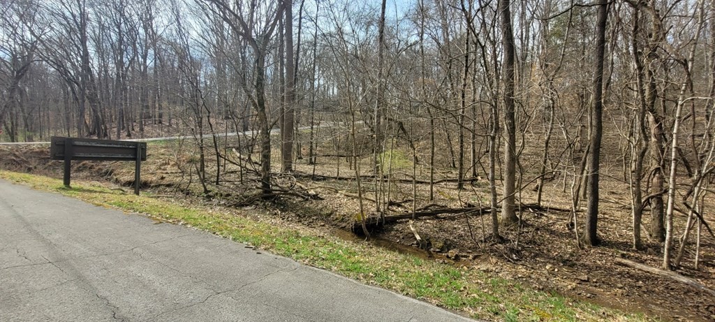 Other - 1 Lakeshore Cir, DOVER, TN