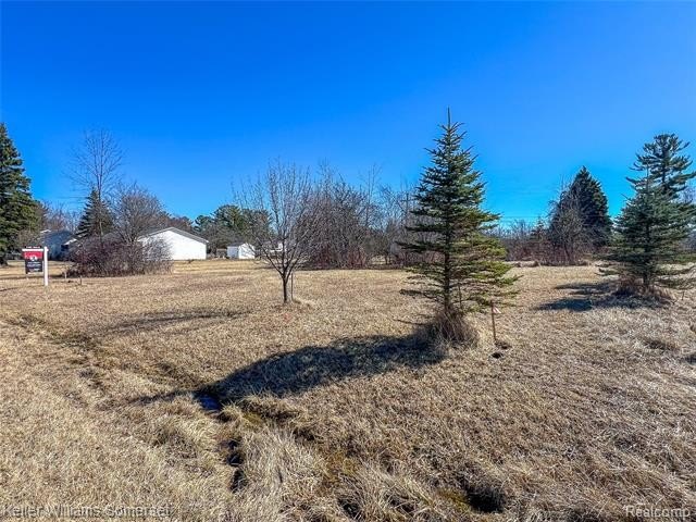 Other - Chippewa Trail lot: 14 & 15, Lexington Twp, MI