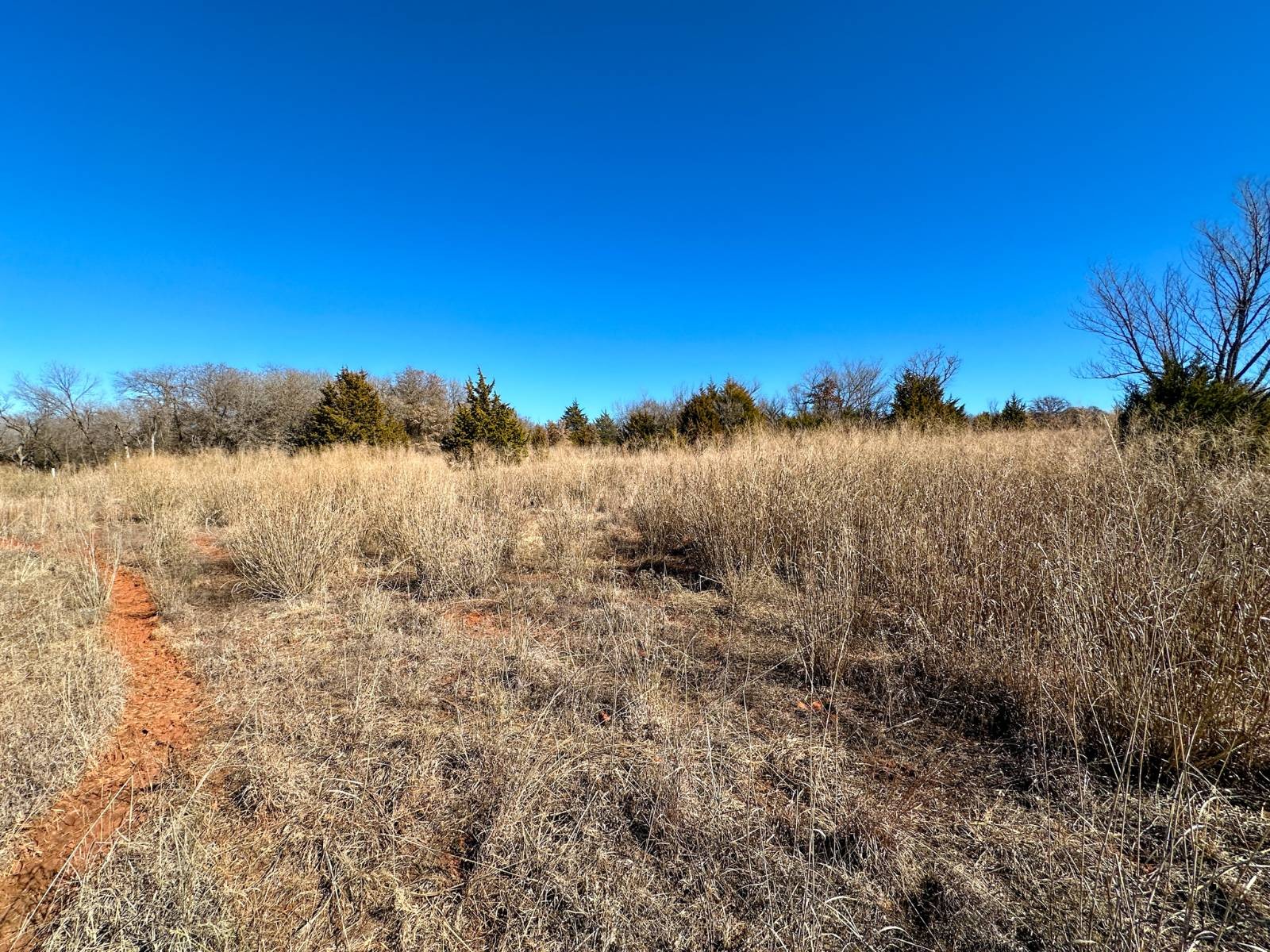 0000 170th St Rockwell Ave  