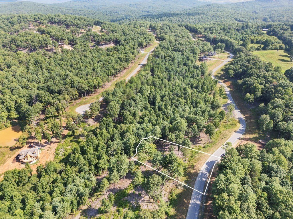 Other - Lot 222 Ridge Drive, Morganton, GA