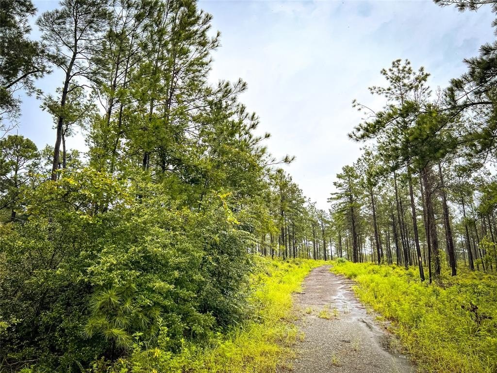 Other - 4 CR 257, Jasper, TX
