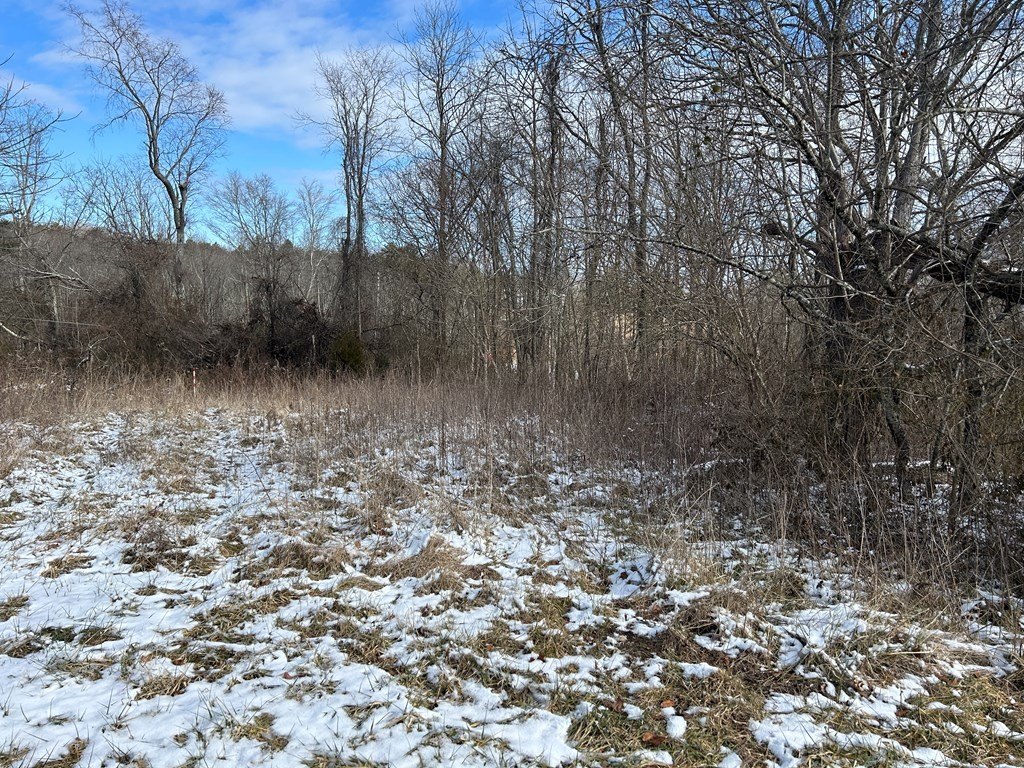 Other - Chapman Road lot: 5, Jamestown, TN