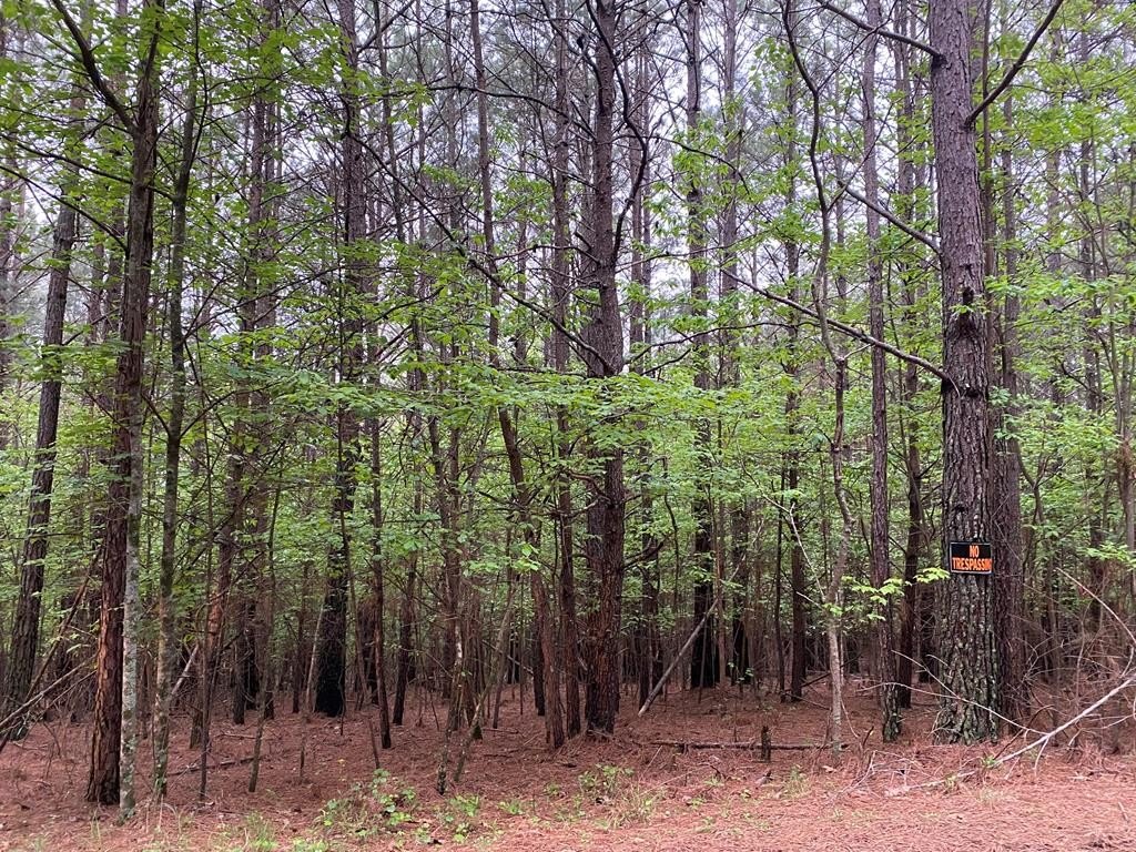 Other - Mull Drive, Mineral Bluff, GA