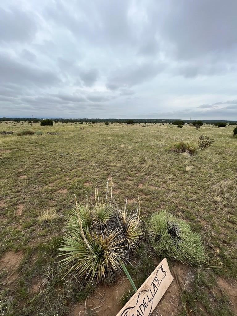 Other - 215 Greenhorn Village, Walsenburg, CO