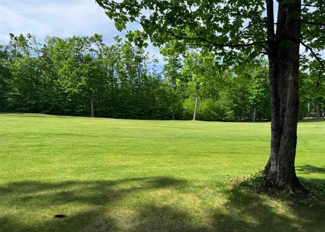 Single Family - 1279 Walkabout, Harbor Springs, MI