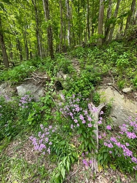 Other - Highlands Parkway lot: 64-A-126B, Mouth of Wilson, VA