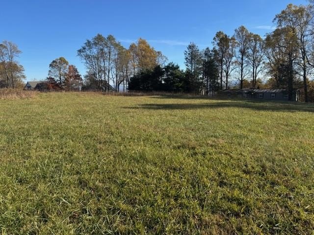 Other - Rhododendron Rd lot: 4011 2 54 Bc, Hillsville, VA