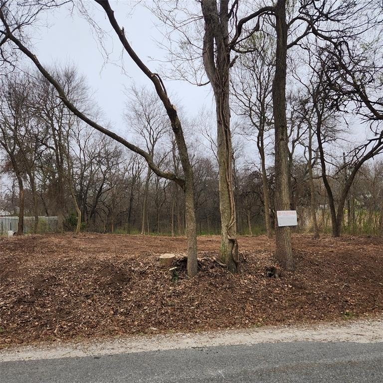 Plots and Land - 0 W Vernon Street, Bells, TX