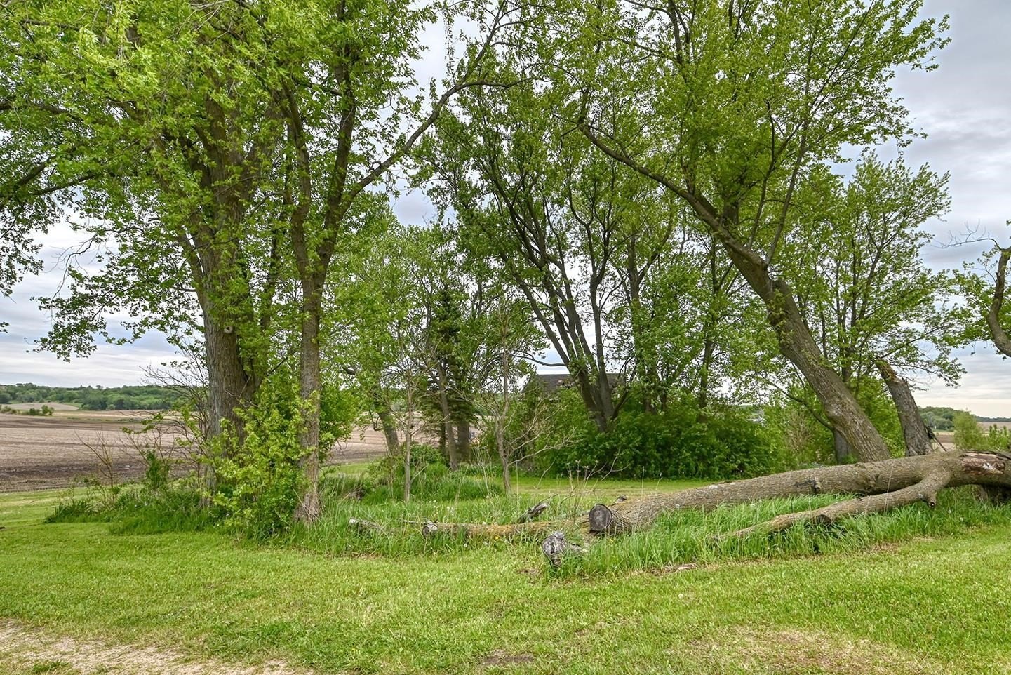 Other - 8349 W Mineral Point Road, Cross Plains, WI